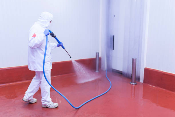 Best Solar Panel Cleaning  in Pinckney, MI