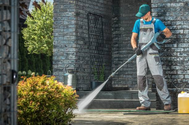 Best Pool Deck Cleaning  in Pinckney, MI