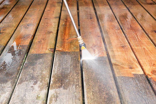 Best Spring Cleaning  in Pinckney, MI