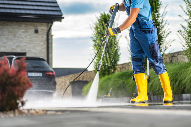 Best Graffiti Removal  in Pinckney, MI